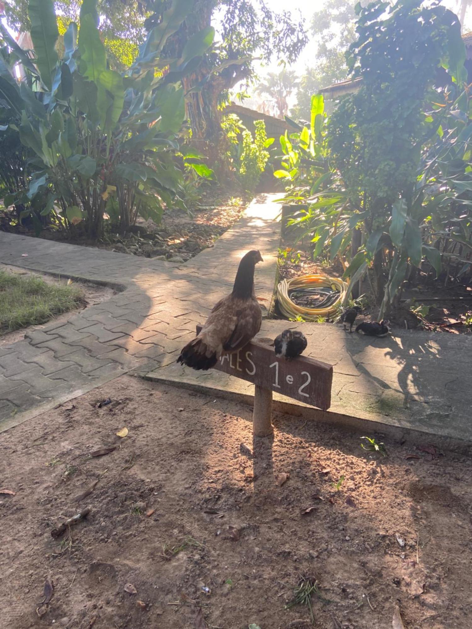 Pousada Coco Dende Velha Boipeba Exterior foto